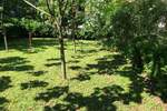 Kuca, Smederevo, Jugovo, prodaja, 165m2, 129000e, id1428392