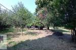 Plac, Beograd, Grabovac, prodaja, 0m2, 15000e, id1428823