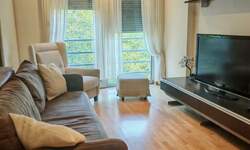 Jednoiposoban stan, Beograd, FON, izdavanje, 50m2, 650e, id1428842