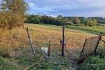 Plac, Beograd, Dučina, prodaja, 4700m2, 800e, id1428886