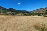 Plac, Zlatibor, prodaja, 7400m2, 150000e, id1429390