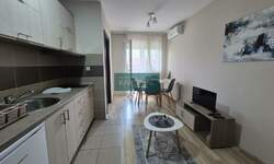Jednosoban stan, Jagodina, izdavanje, 33m2, 220e, id1429411