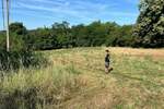 Plac, Beograd, Babe, prodaja, 2300m2, 29000e, id1429416