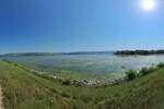 Plac, Veliko Gradište, Pecaroska, prodaja, 1000m2, 100000e, id1429916