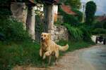 Kuca, Jablanica, Jablanica, prodaja, 67m2, 36000e, id1430430