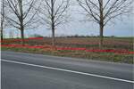 Plac, Subotica, prodaja, 3271m2, 90000e, id1430431