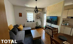 Dvosoban stan, Novi Sad, Cara DuŠana, izdavanje, 35m2, 350e, id1430450