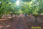 Plac, Stara Pazova, Nova Pazova, prodaja, 0m2, 80000e, id1430459