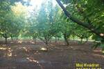 Plac, Stara Pazova, Nova Pazova, prodaja, 0m2, 80000e, id1430459