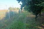 Plac, Stara Pazova, Nova Pazova, prodaja, 0m2, 80000e, id1430459