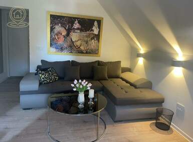 Garsonjera, Beograd, Slavujev Venac, izdavanje, 21m2, 450e, id1430465