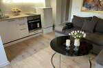 Garsonjera, Beograd, Slavujev Venac, izdavanje, 21m2, 450e, id1430465