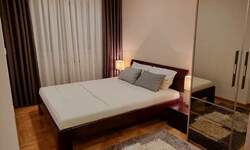 Dvosoban stan, Beograd, Stepa Stepanović, izdavanje, 50m2, 650e, id1430472