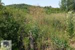 Plac, Beograd, Mala Moštanica, prodaja, 1000m2, 12900e, id1431029