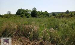 Plac, Beograd, Mala Moštanica, prodaja, 4816m2, 120000e, id1431030