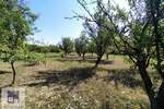 Plac, Beograd, Konatice, prodaja, 0m2, 26500e, id1431031