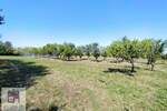 Plac, Beograd, Konatice, prodaja, 0m2, 26500e, id1431031