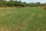 Plac, Ub, Brgule, prodaja, 46m2, 15000e, id1431032