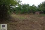 Plac, Ub, Brgule, prodaja, 46m2, 15000e, id1431032