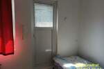 Trosoban stan, Beograd, Botanička bašta, izdavanje, 76m2, 700e, id1431036