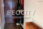 Dvosoban stan, Novi Sad, Bulevar Evrope, izdavanje, 38m2, 400e, id1431068