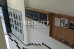 Jednosoban stan, Novi Sad, Petrovaradin, izdavanje, 27m2, 250e, id1431501