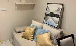 Jednoiposoban stan, Beograd, Donji Dorćol, izdavanje, 35m2, 490e, id1432056