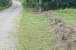 Plac, Beograd, Šiljakovac, prodaja, 0m2, 30000e, id1432088