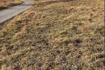 Plac, Zlatibor, prodaja, 3291m2, 205000e, id1432600