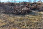 Plac, Zlatibor, prodaja, 3291m2, 205000e, id1432600