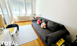 Dvoiposoban stan, Novi Sad, Liman 1, prodaja, 44m2, 135960e, id1432606