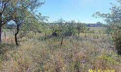 Plac, Beograd, Sibnica, prodaja, 0m2, 75000e, id1432611