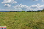 Plac, Boljevac, Mali Izvor, prodaja, 0m2, 10000e, id1382842