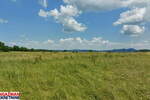 Plac, Boljevac, Mali Izvor, prodaja, 0m2, 10000e, id1382842