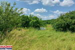 Plac, Boljevac, Mali Izvor, prodaja, 0m2, 10000e, id1382842