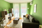 Garsonjera, Novi Sad, Cara DuŠana, izdavanje, 24m2, 300e, id1434087