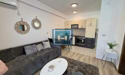 Jednosoban stan, Jagodina, izdavanje, 38m2, 250e, id1434091