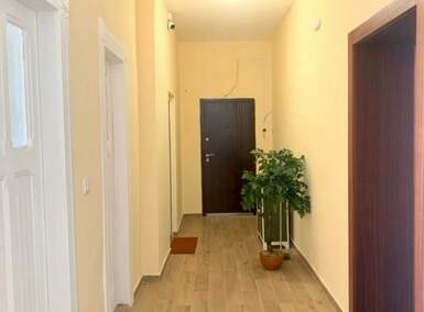 Dvosoban stan, Beograd, Zemun-centar, izdavanje, 57m2, 900e, id1434101