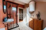 Dvosoban stan, Novi Sad, Adamovićevo Naselje, izdavanje, 53m2, 550e, id1434137