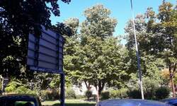 Trosoban stan, Beograd, Centar, izdavanje, 86m2, 1000e, id1434138