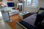 Jednosoban stan, Niš, Pantelej(Niš), izdavanje, 28m2, 300e, id1356717