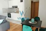Jednoiposoban stan, Novi Sad, Centar, izdavanje, 47m2, 700e, id727820