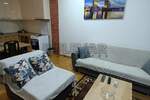 Jednoiposoban stan, Niš, Bubanj, izdavanje, 40m2, 300e, id1434732