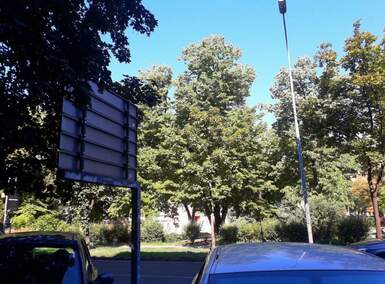Trosoban stan, Beograd, Centar, izdavanje, 86m2, 1000e, id1434138