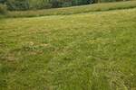 Plac, Beograd, Ralja, prodaja, 0m2, 48000e, id1384845