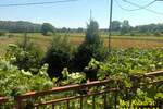 Kuca, Veliko Gradište, prodaja, 260m2, 80000e, id1435252