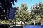 Trosoban stan, Beograd, Centar, izdavanje, 86m2, 1000e, id1435347