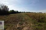 Plac, Beograd, Stubline, prodaja, 0m2, 40000e, id1435866