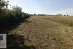 Plac, Beograd, Stubline, prodaja, 0m2, 40000e, id1435866