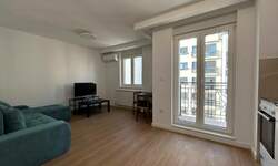 Jednosoban stan, Beograd, Dusanovac, izdavanje, 31m2, 550e, id1436454
